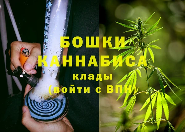 крисы Магадан