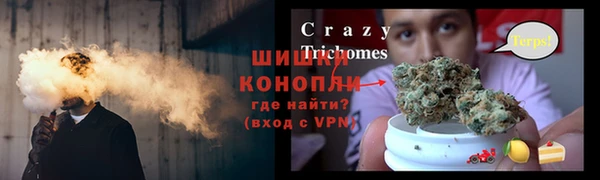 тгк Мегион