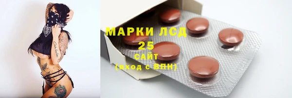 крисы Магадан