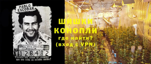 крисы Магадан