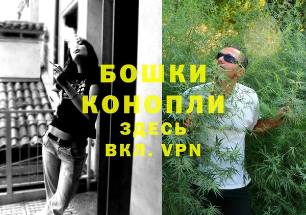 мдпв Магас