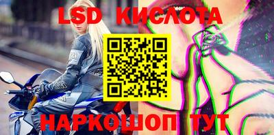 спиды Аргун