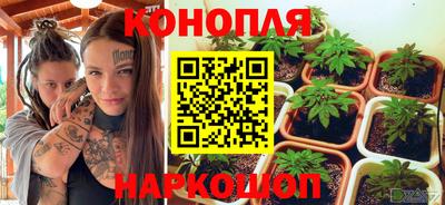 ГАЛЛЮЦИНОГЕННЫЕ ГРИБЫ Камышлов