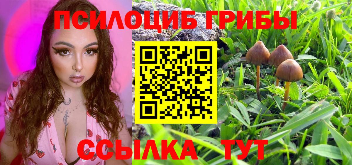 Псилоцибиновые грибы прущие грибы Нововоронеж