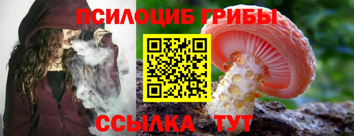 Галлюциногенные грибы Cubensis  Вход с VPN  Нововоронеж 