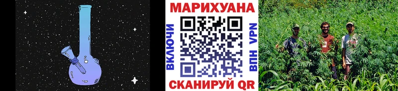 Каннабис семена  Нововоронеж 